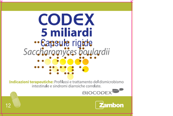 CODEX*12CPS 5MLD 250MG - doctorpill.it