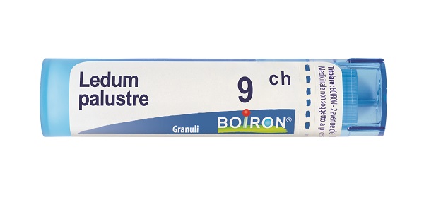LEDUM PALUSTRE 9 CH GRANULI 4G - doctorpill.it