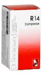 RECKEWEG R14 100 COMPRESSE - doctorpill.it