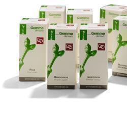 RIBES NERO MACERATO GLICERICO 100 ML - doctorpill.it