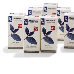 SPIREA ULMARIA TINTURA MADRE 100 ML - doctorpill.it