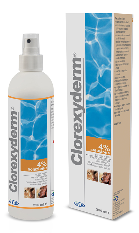 CLOREXYDERM SOLUZIONE 4% 250 ML - doctorpill.it