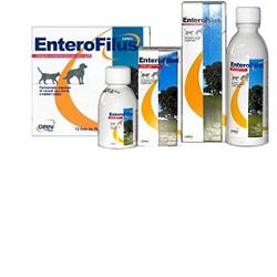 ENTEROFILUS 12 X 10 ML - doctorpill.it