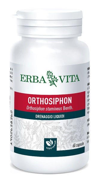 ORTOSIPHON 60 CAPSULE 400 MG - doctorpill.it