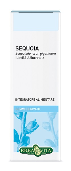 GEMMODERIVATO SEQUOIA 50 ML - doctorpill.it