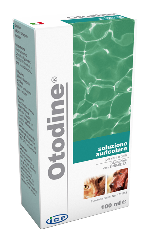 OTODINE DETERGENTE LIQUIDO 100 ML - doctorpill.it