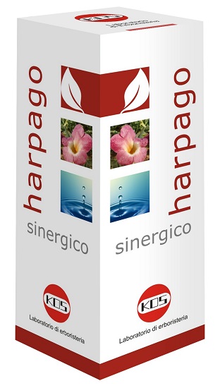 HARPAGO SINERGICO GOCCE 100 ML - doctorpill.it