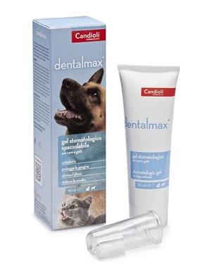 DENTALMAX GEL STOMATOLOGICO 50 ML - doctorpill.it