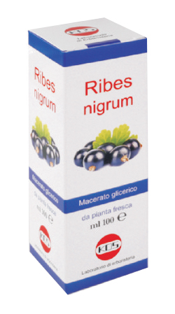 RIBES NIGRUM MACERATO GLICERICO 100 ML GOCCE - doctorpill.it