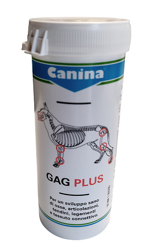 GAG PLUS 100 G 60 TAVOLETTE - doctorpill.it