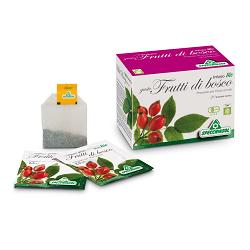 INFUSO BIO FRUTTA FRUTTI DI BOSCO 20 FILTRI - doctorpill.it