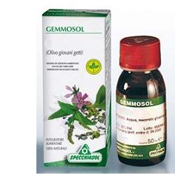 GEMMOSOL 36 RIBES NERO 50ML - doctorpill.it