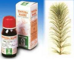 EQUISETO 12 50ML TM - doctorpill.it