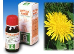 TARASSACO 28 50ML TM - doctorpill.it