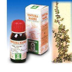 UVA URSINA 30 50ML TM - doctorpill.it