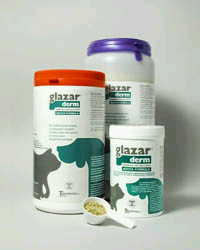 GLAZARDERM FLACONE 500 G - doctorpill.it