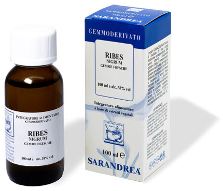 RIBES NIGRUM 100 ML MACERATO GLICERICO - doctorpill.it