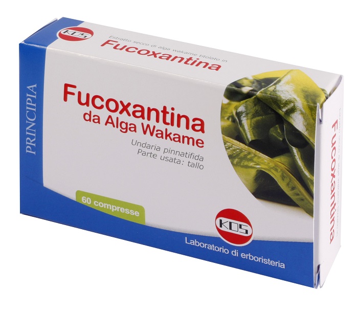 FUCOXANTINA 60 COMPRESSE - doctorpill.it
