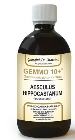 GEMOO 10+ GEMMODERIVATO CONCENTRATO IPPOCASTANO LIQUIDO ANALCOLICO AESCULUS HIPPOCASTANUM IPPOCASTANO 500 ML - doctorpill.it