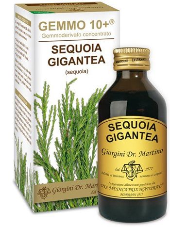 GEMMO 10+ SEQUOIA 100 ML LIQUIDO ANALCOLICO - doctorpill.it