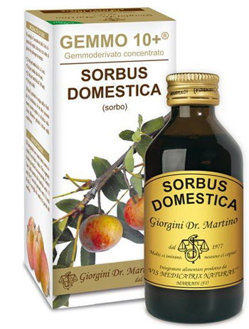SORBO ANALCO GEMMO 10+ 100 ML - doctorpill.it