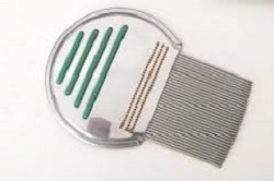PETTINE ACCIAIO PER RIMOZIONE PIDOCCHI - doctorpill.it