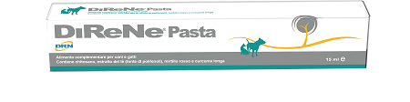 DIRENE PASTA 15 ML - doctorpill.it