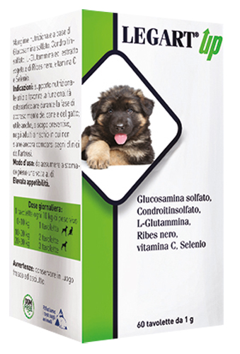LEGART UP 60 COMPRESSE DA 1 G - doctorpill.it