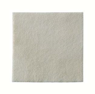 MEDICAZIONE BIATAIN ALGINATE AG ALGINATO CON ARGENTO 15X15CM 10 PEZZI - doctorpill.it