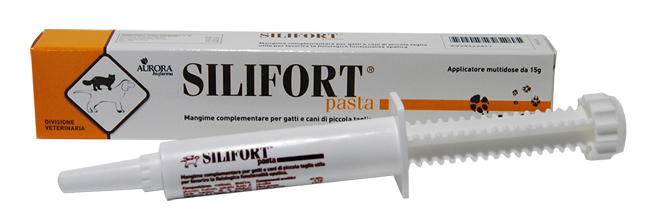 SILIFORT PASTA OS SIRINGA 15 G - doctorpill.it