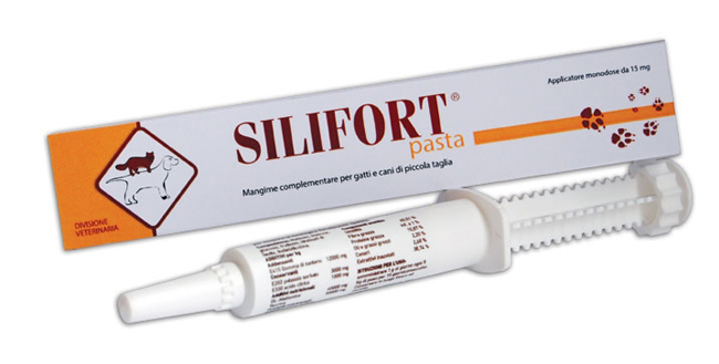 SILIFORT PASTA OS SIRINGA 30 G - doctorpill.it