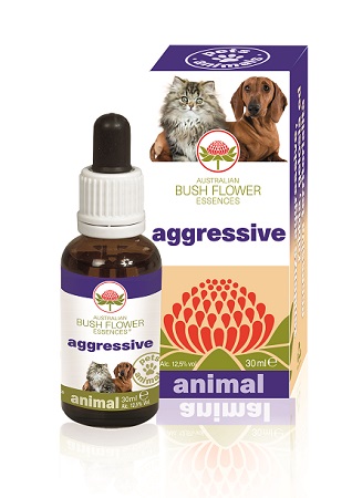 AGGRESSIVE 30 ML - doctorpill.it