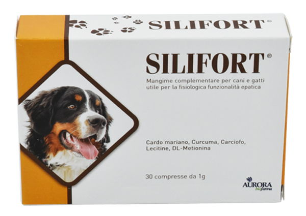 INTEGRATORE ALIMENTARE DETOSSICANTE EPATICO - doctorpill.it
