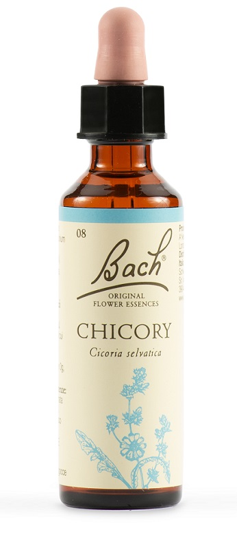 CHICORY BACH ORIG 20 ML - doctorpill.it