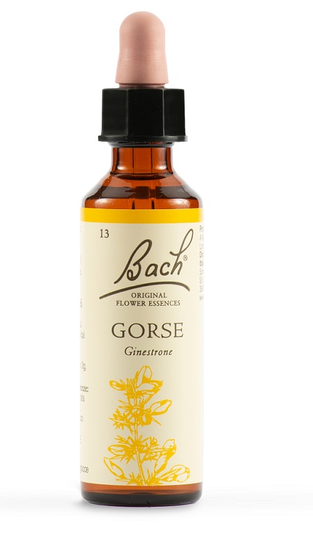 GORSE BACH ORIG 20 ML - doctorpill.it