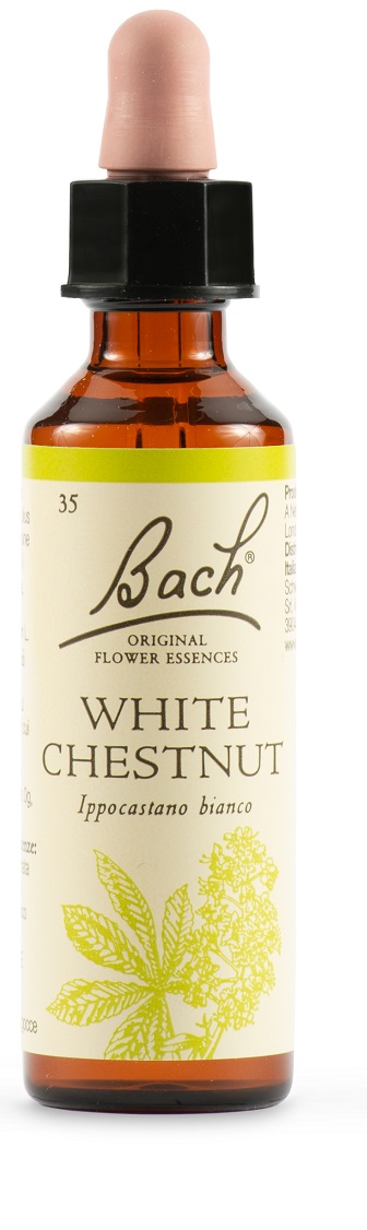 WHITE CHEST BACH ORIG 20 ML - doctorpill.it