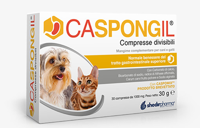 CASPONGIL 30 COMPRESSE DIVISIBILI - doctorpill.it