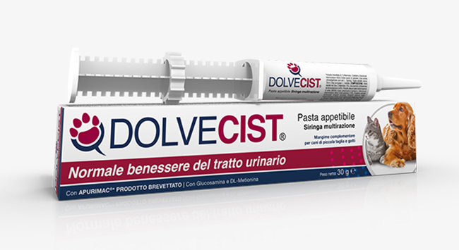 DOLVECIST PASTA SIRINGA 30 G - doctorpill.it