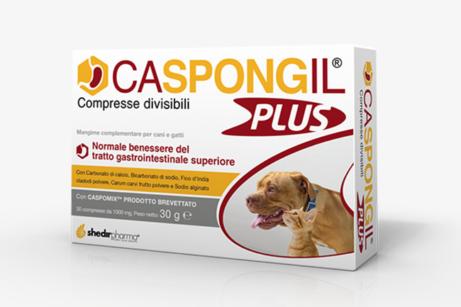 CASPONGIL PLUS 30 COMPRESSE - doctorpill.it