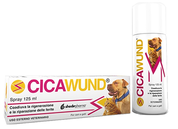 CICAWUND SPRAY 125 ML - doctorpill.it