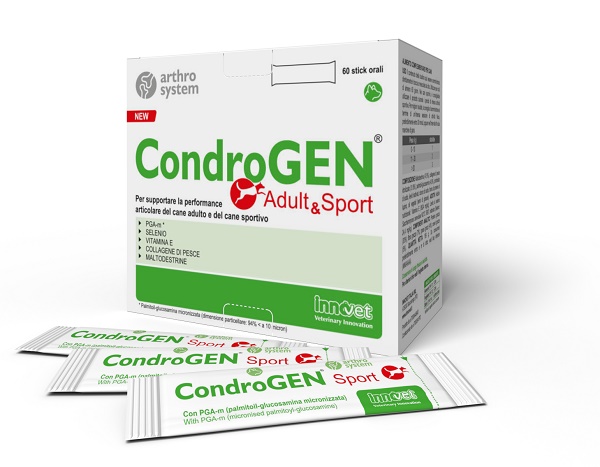 CONDROGEN ADULT&SPORT 60 STICK - doctorpill.it