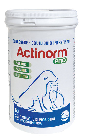 ACTINORM PRO FLACONE 60 COMPRESSE - doctorpill.it