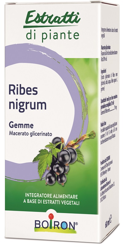 RIBES NIGRUM BOIRON MACERATO GLICERICO 60 ML - doctorpill.it