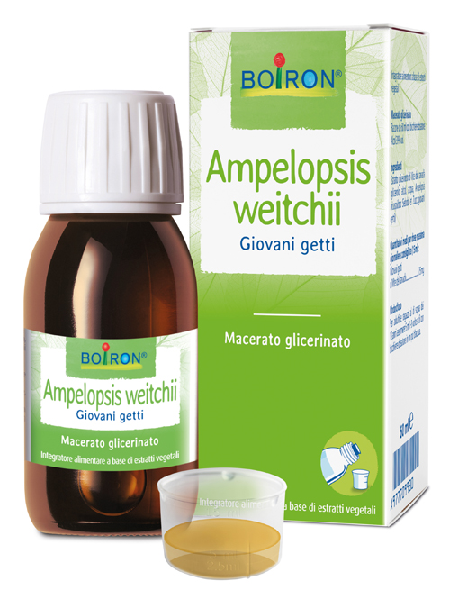 AMPELOPSIS WESTRATTO IDROALCOLICO BOIRON MACERATO GLICERICO 60 ML - doctorpill.it