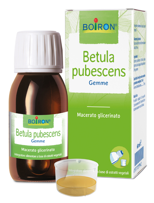 BETULA PUBESC BOIRON MACERATO GLICERICO 60 ML - doctorpill.it
