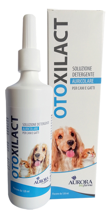 OTOXILACT DETERGENTE AURICOLARE - doctorpill.it