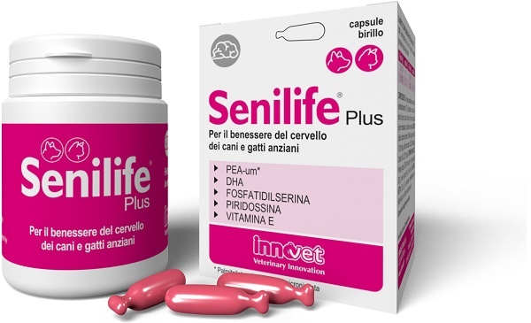 SENILIFE PLUS 60 CAPSULE - doctorpill.it