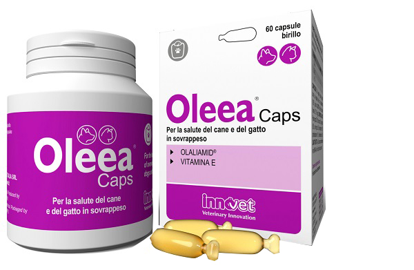 OLEEA CAPS 60 CAPSULE - doctorpill.it