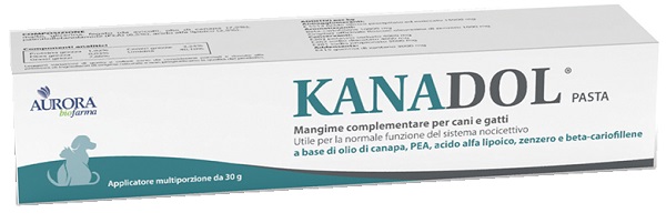 KANADOL PASTA 30 G - doctorpill.it