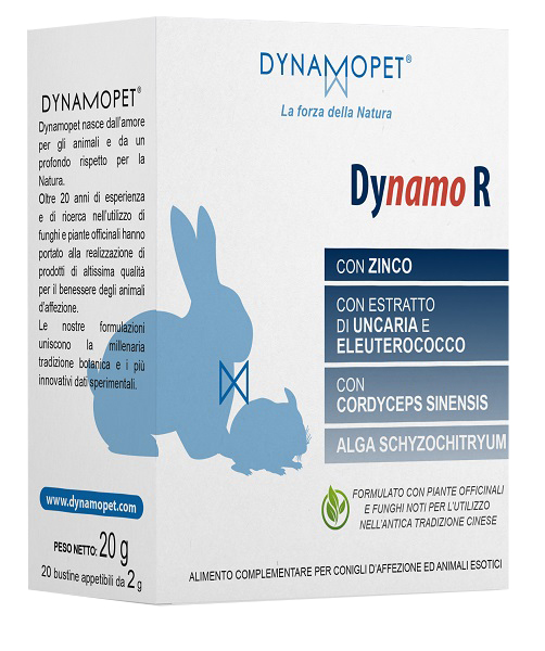 DYNAMO R 20 BUSTINE DA 2 G - doctorpill.it